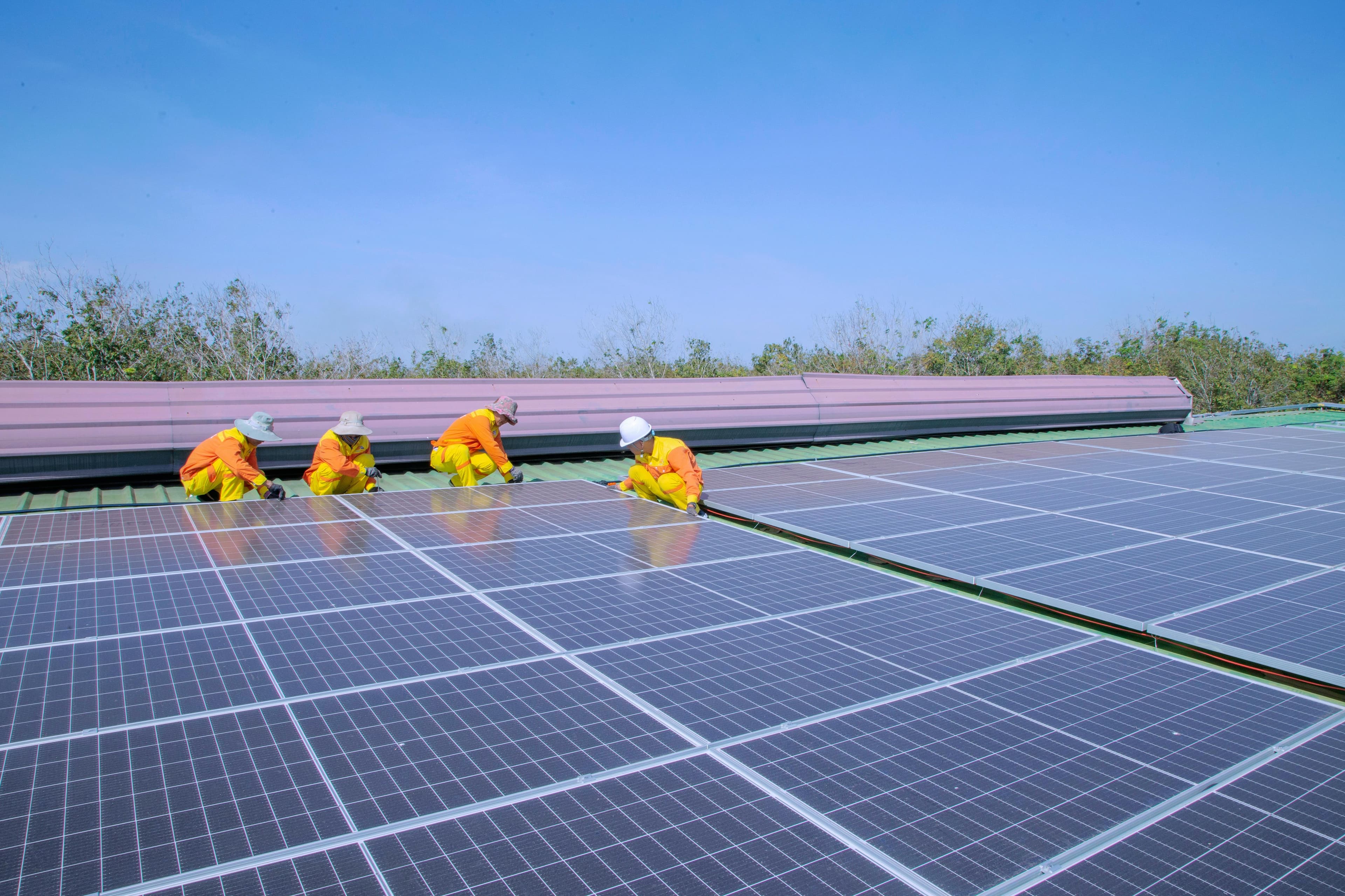 Renewable Energy